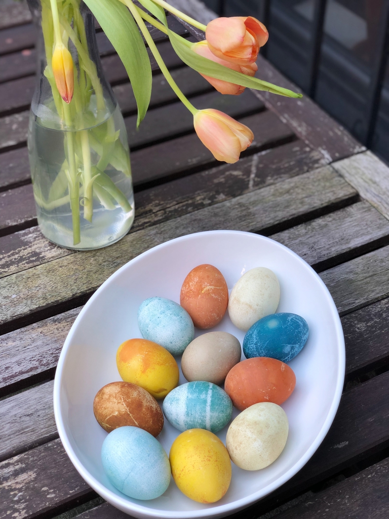 Easter eggs naturally dyed from vegetables on a table with Spring tulips